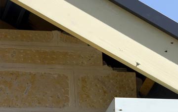 soffit repair Croxton